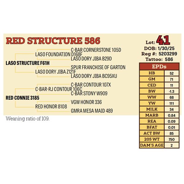 RED STRUCTURE 586