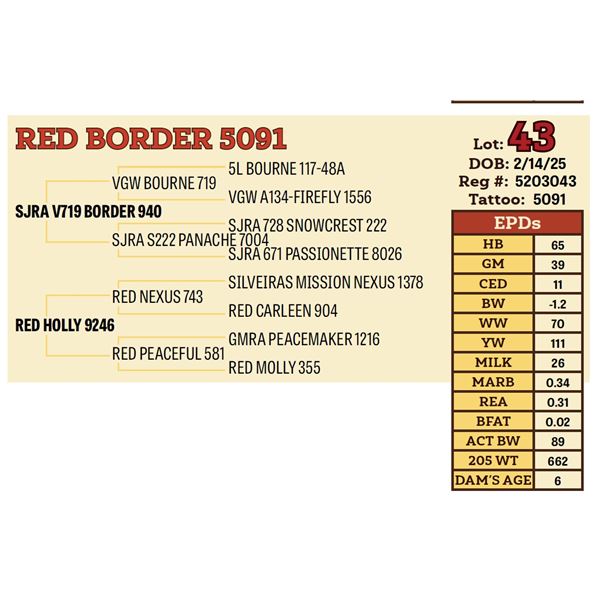 RED BORDER 5091
