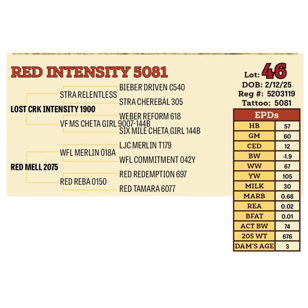 RED INTENSITY 5081