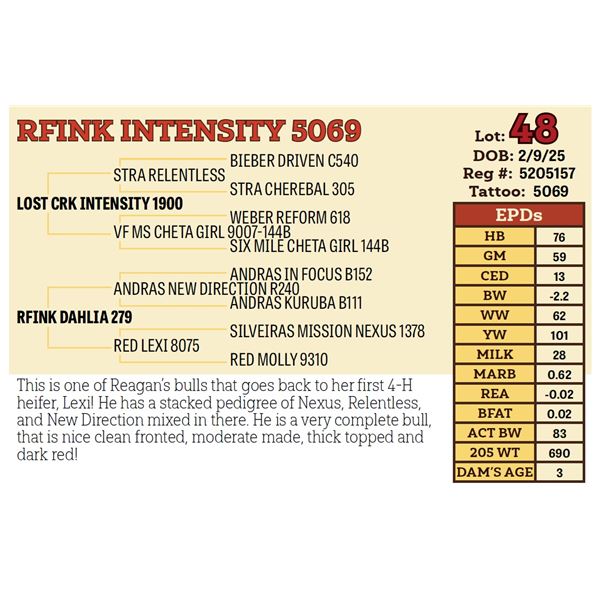 RFINK INTENSITY 5069