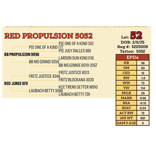 RED PROPULSION 5052