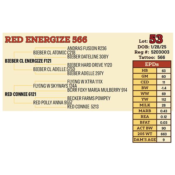 RED ENERGIZE 566