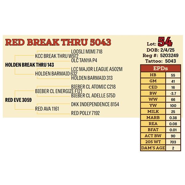 RED BREAK THRU 5043