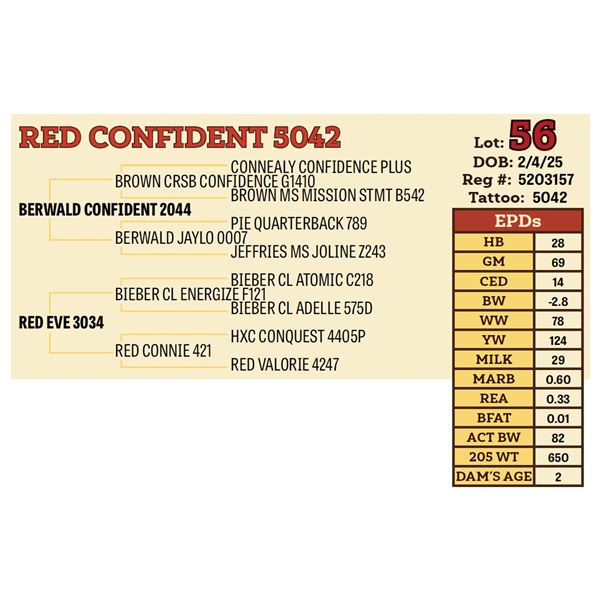 RED CONFIDENT 5042