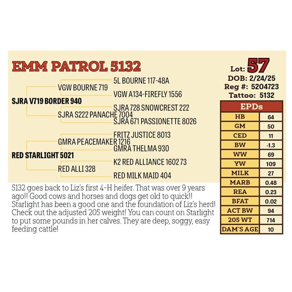 EMM PATROL 5132