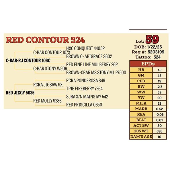 RED CONTOUR 524