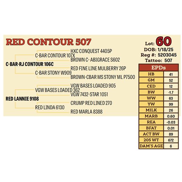 RED CONTOUR 507