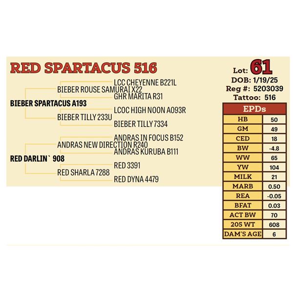 RED SPARTACUS 516