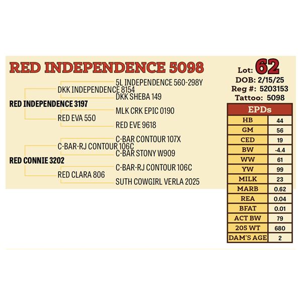 RED INDEPENDENCE 5098