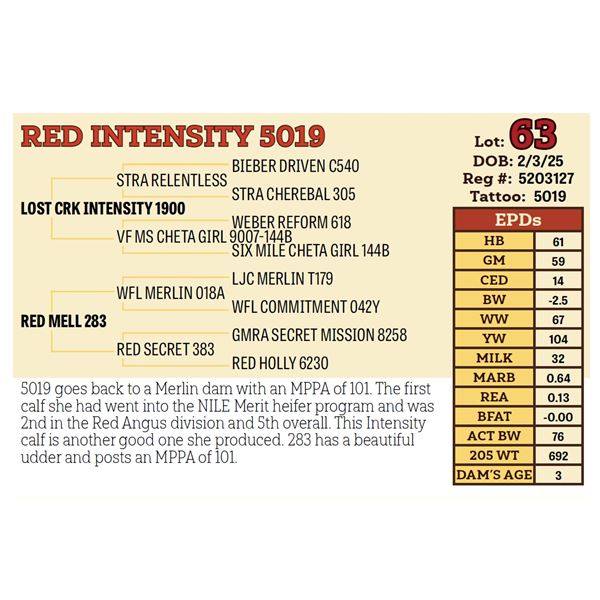 RED INTENSITY 5019