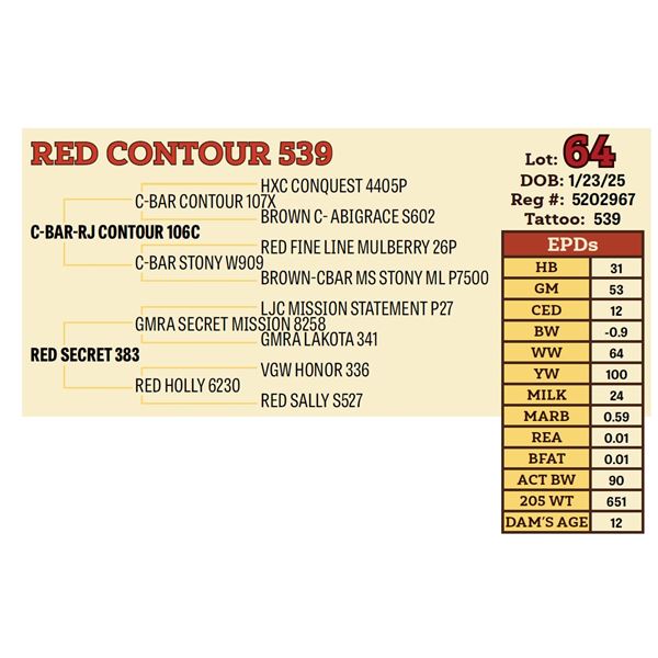 RED CONTOUR 539
