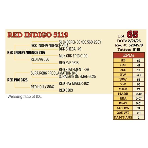 RED INDIGO 5119