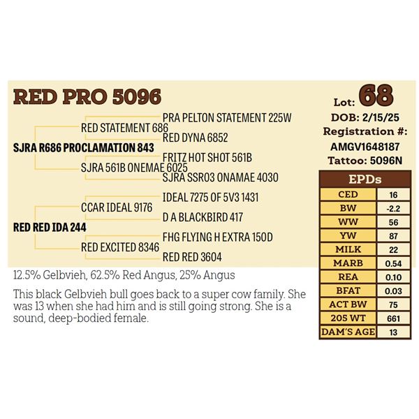 RED PRO 5096