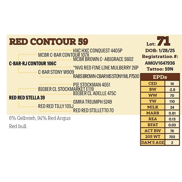 RED CONTOUR 59