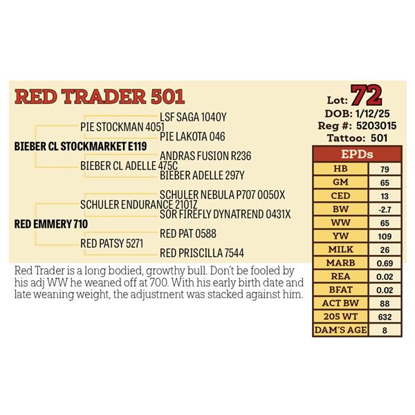 RED TRADER 501