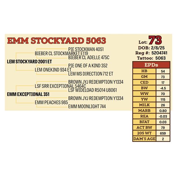 EMM STOCKYARD 5063