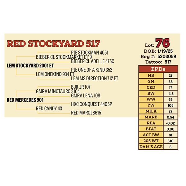 RED STOCKYARD 517