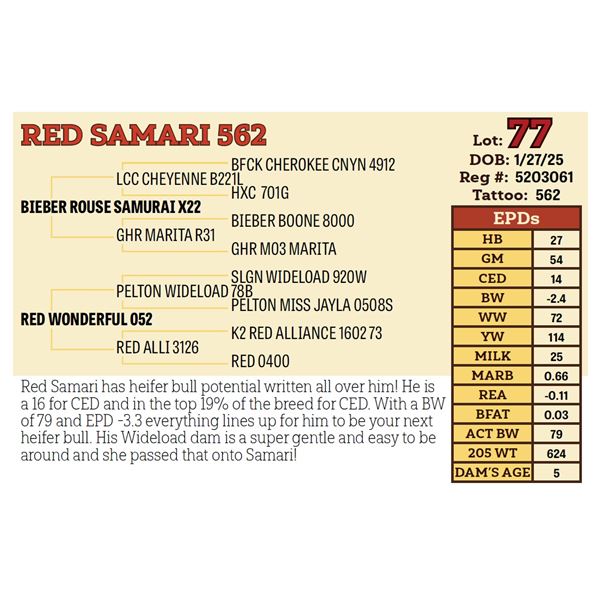 RED SAMARI 562