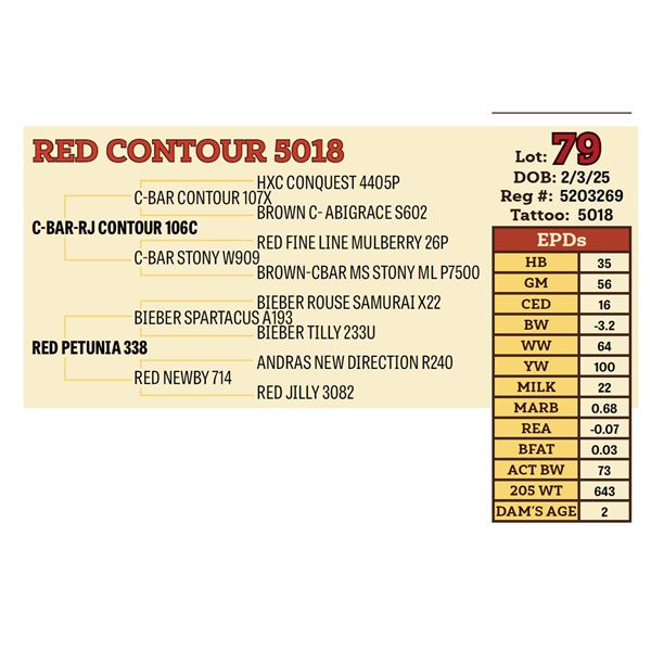RED CONTOUR 5018