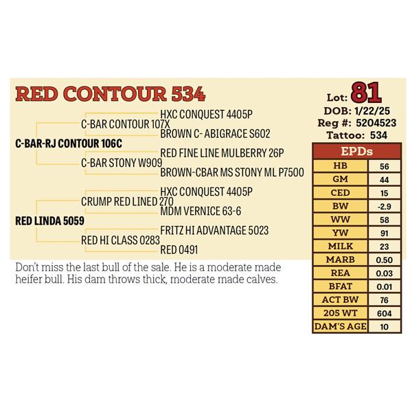RED CONTOUR 534