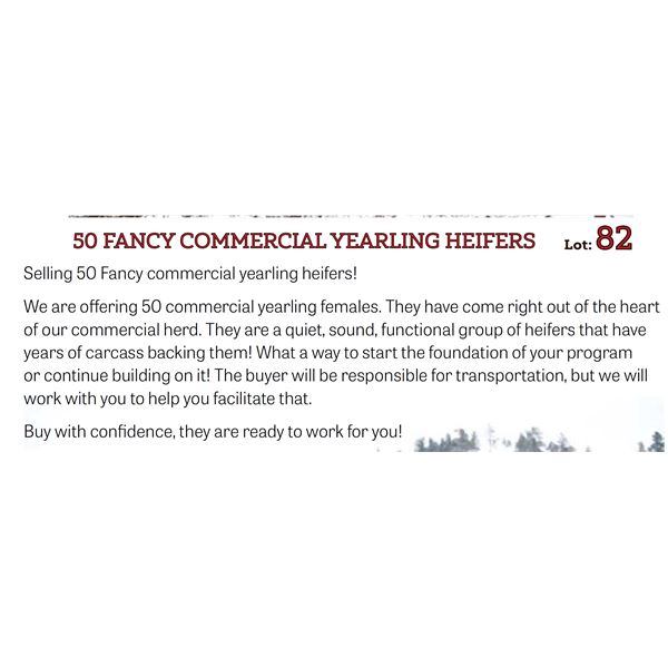 50 HD Comm Yrlg Heifers