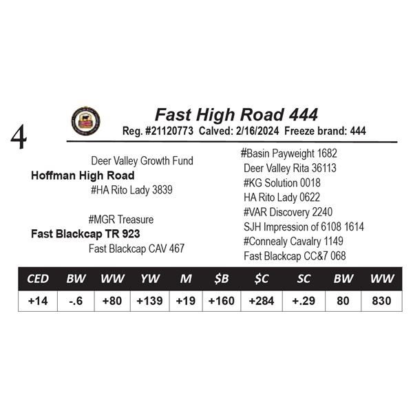 Fast High Road 444