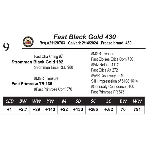 Fast Black Gold 430