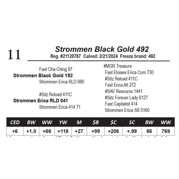 Strommen Black Gold 492