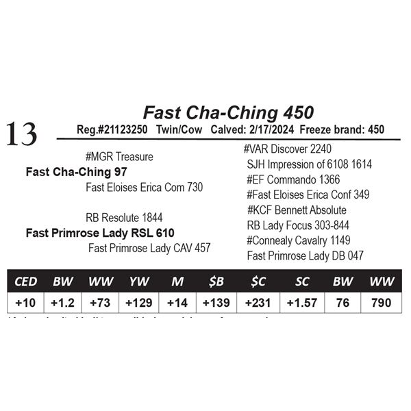 Fast Cha-Ching 450
