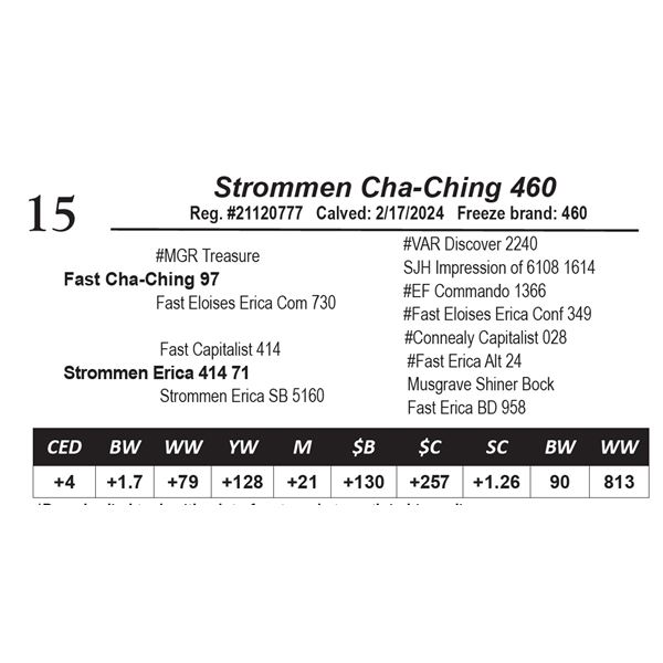 Strommen Cha-Ching 460