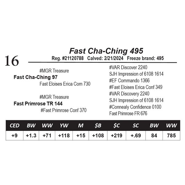 Fast Cha-Ching 495