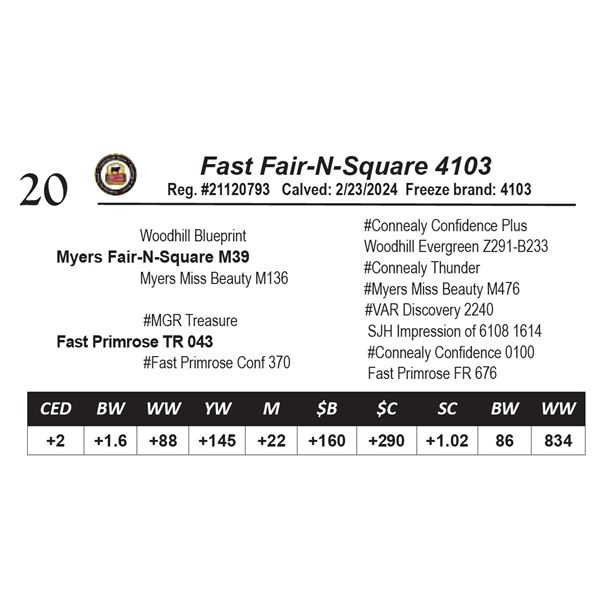 Fast Fair-N-Square 4103