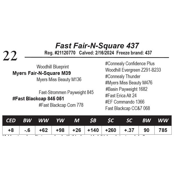 Fast Fair-N-Square 437