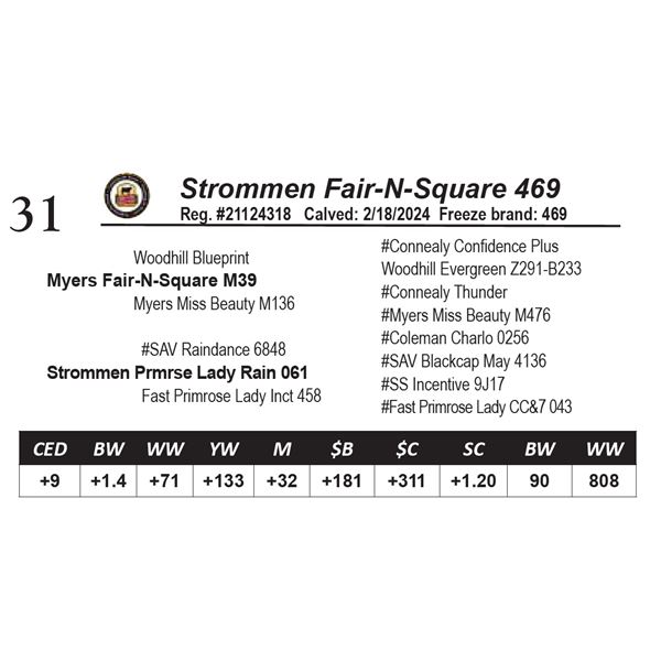 Strommen Fair-N-Square 469
