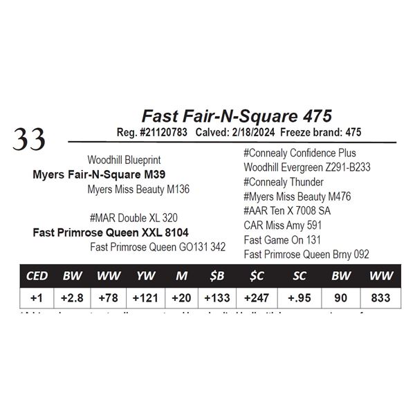 Fast Fair-N-Square 475