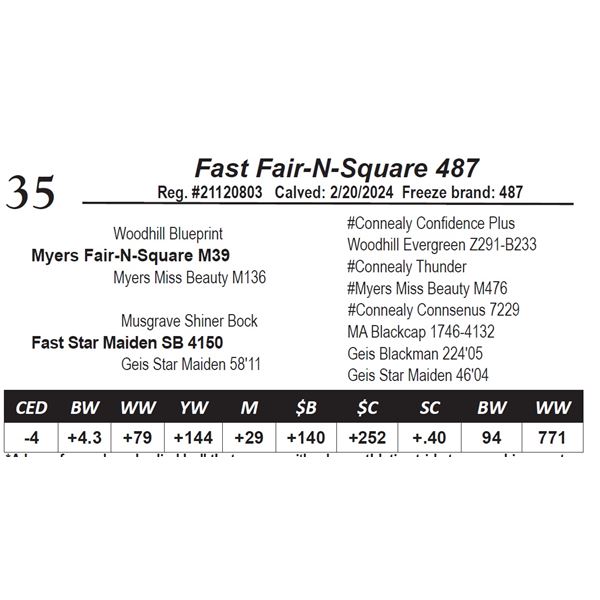 Fast Fair-N-Square 487