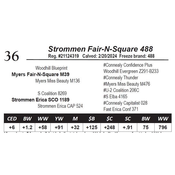 Strommen Fair-N-Square 488
