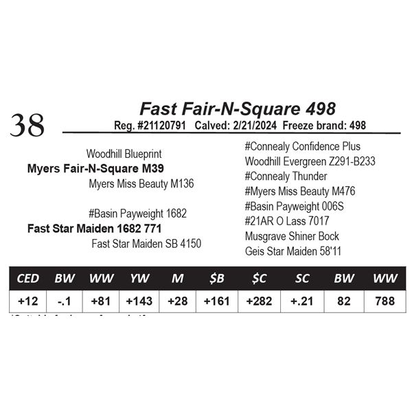 Fast Fair-N-Square 498