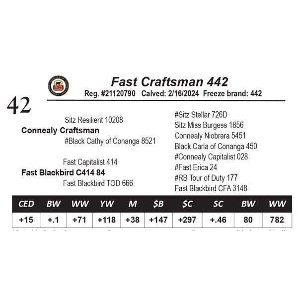 Fast Craftsman 442