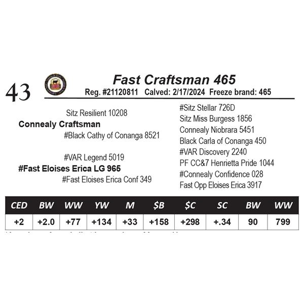 Fast Craftsman 465
