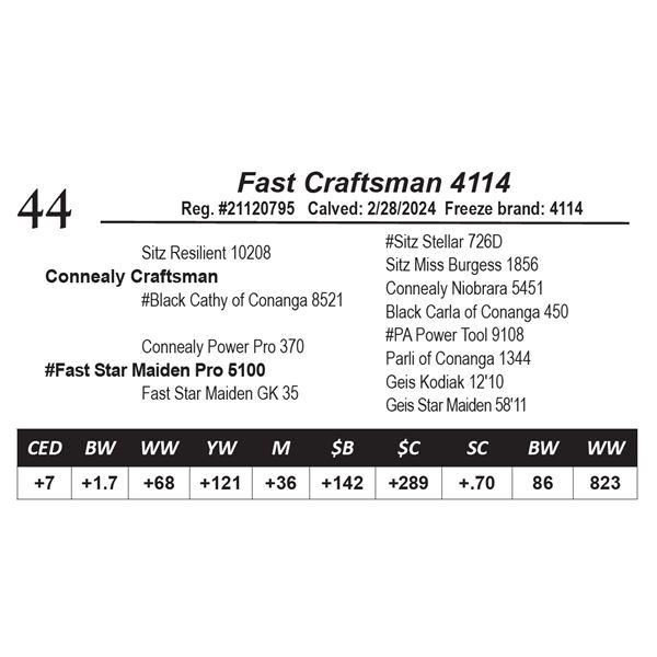 Fast Craftsman 4114