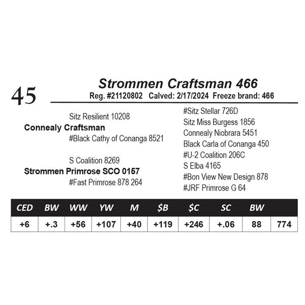 Strommen Craftsman 466