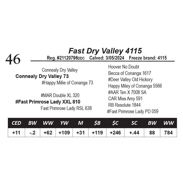 Fast Dry Valley 4115