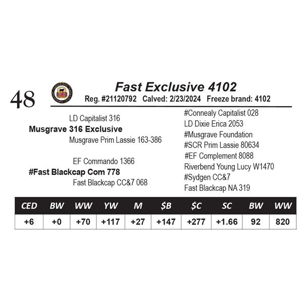 Fast Exclusive 4102