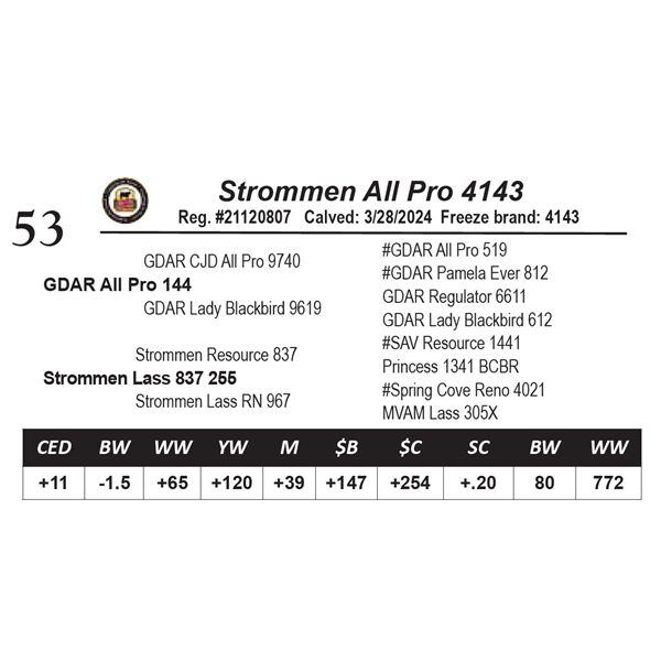 Strommen All Pro 4143