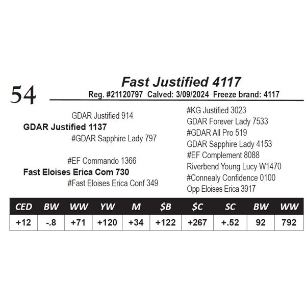 Fast Justified 4117