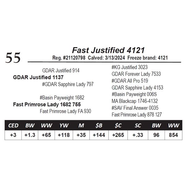 Fast Justified 4121