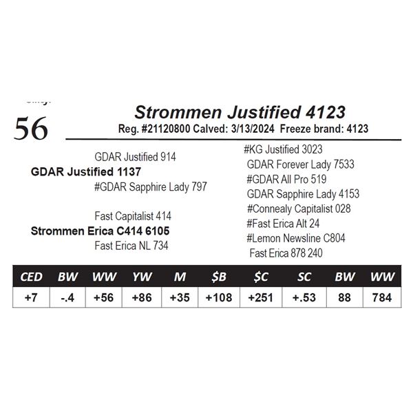 Strommen Justified 4123