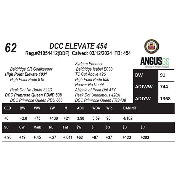 DCC ELEVATE 454