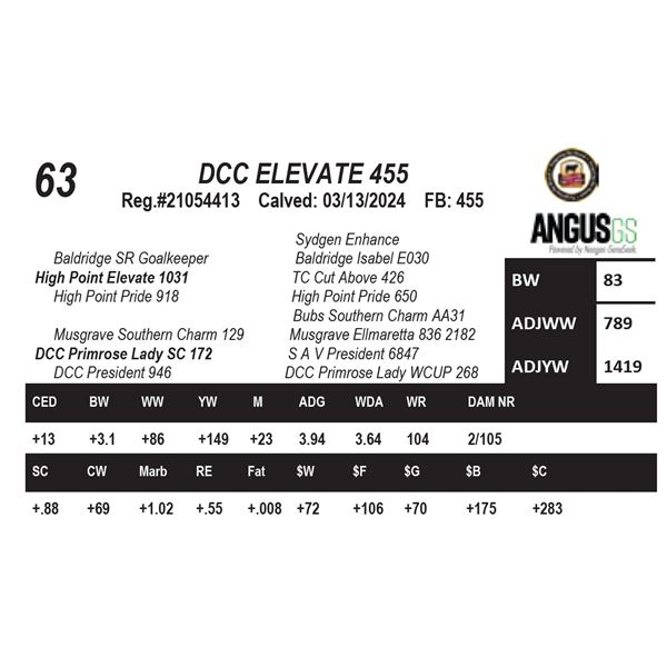DCC ELEVATE 455